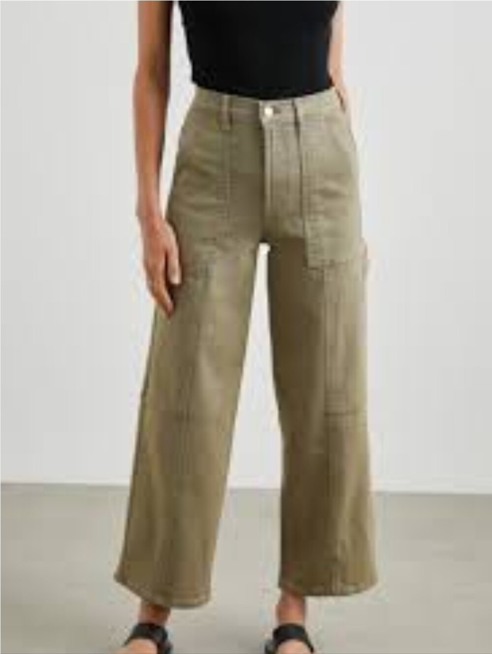 Rails Denim Size 27 NWT Taupe Utility Carpenter Pants
